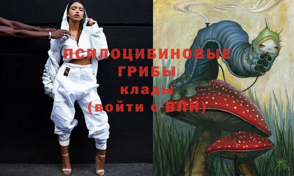 PSILOCYBIN Заволжье