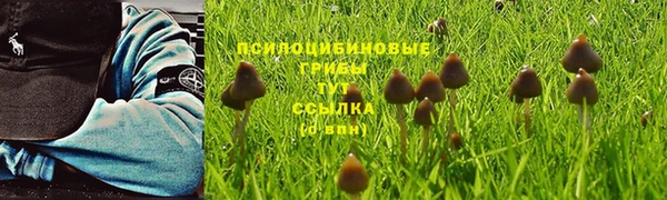 хмурый Заволжск