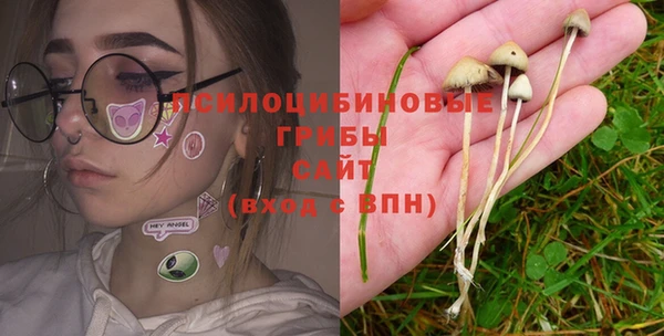 хмурый Заволжск