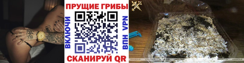 Галлюциногенные грибы ЛСД  Зарайск 