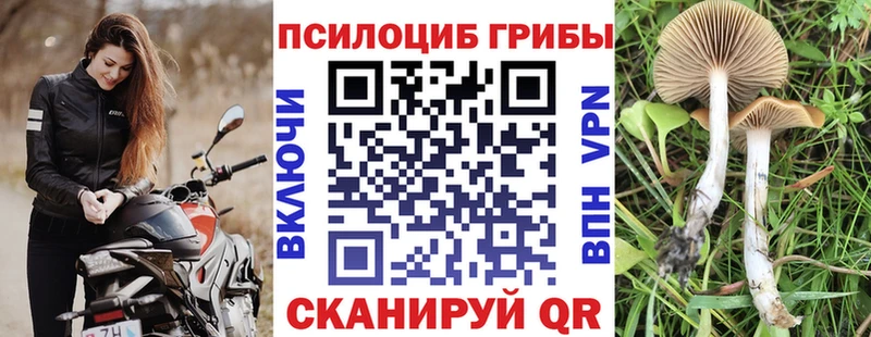 Галлюциногенные грибы мухоморы Зарайск